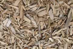 biomass boilers Bala